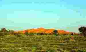 روضة خريم مكان استجمام واستقبال الرؤساء اثناء حكم الملك عبدالله رحمه الله