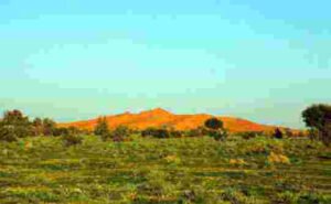 روضة خريم مكان استجمام واستقبال الرؤساء اثناء حكم الملك عبدالله رحمه الله