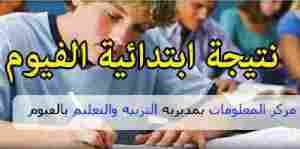 نتيجة الشهادة الابتدائية في محافظة الفيوم 2015