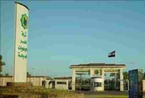 شركة النصر للصناعات الكيماوية