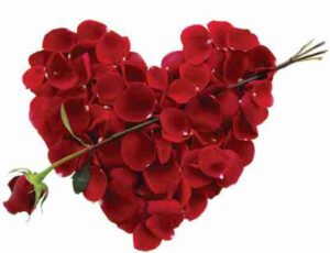 افكار مبتكرة وحديدة هدايا عيد الحب 2015