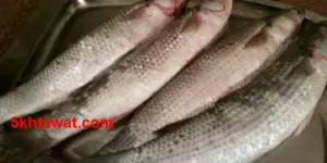 طريقة عمل الفسيخ في البيت وما هي ارشادات تمليح الاسماك ؟