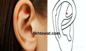 حقيقة نقطة شان مان في الأذن وطريقة تدليكها الصحيحة