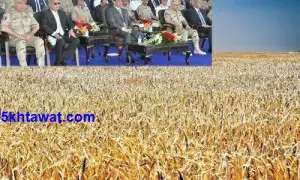 تفاصيل شركة الريف المصري وموعد طرح اراضي المليون ونصف فدان