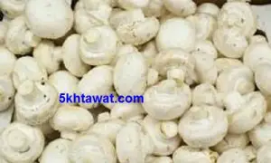 استخدامات المشروم في المطبخ وفوائد الفطر الصحية