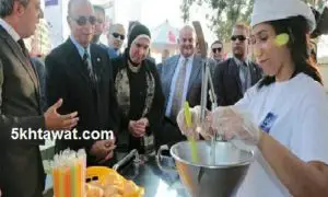 طريقة التقديم في مشروع شارع مصر لترخيص عربيات الاكل في محافظة القاهرة المصاريف الشهرية والاوراق المطلوبة
