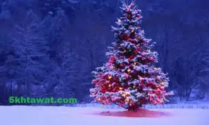 أحدث رسائل تهنئة الكريسماس 2018 شاهد أجمل صور عيد الميلاد المجيد Merry Christmas 2018