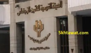 شروط الحصول على تأمين البطالة في قانون المعاشات الجديد 2019