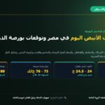 أسعار الكتكوت الأبيض اليوم في مصر وتوقعات أسعار الدواجن في الشتاء 2026