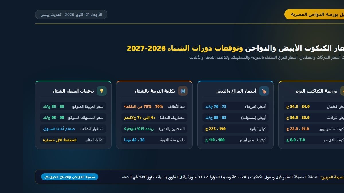 إنفوجرافيك أسعار الكتكوت الأبيض والدواجن وتكلفة دورة التربية في الشتاء 2026