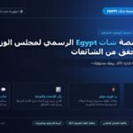 رابط موقع منصة شات Egypt الرسمي التابع لمركز المعلومات ودعم اتخاذ القرار بمجلس الوزراء
